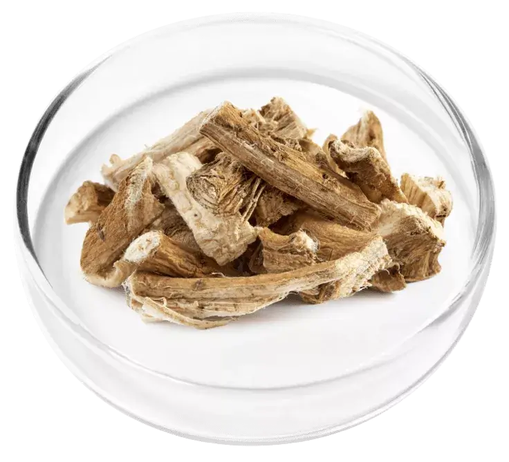 Marshmallow Root ingredient