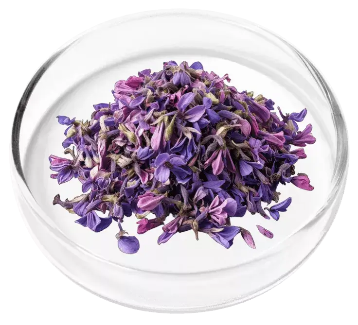 Corydalis ingredient